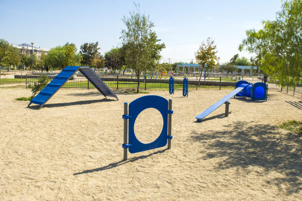 circuitos caninos agility